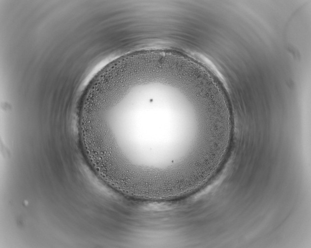 X0000091170835200708091203
