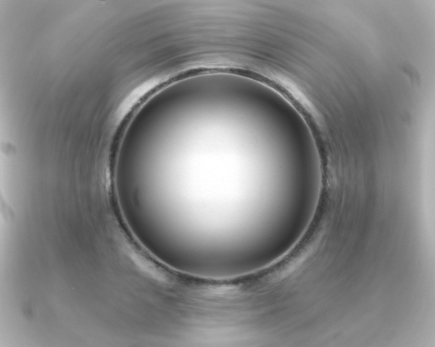 X0000091170837200708091203