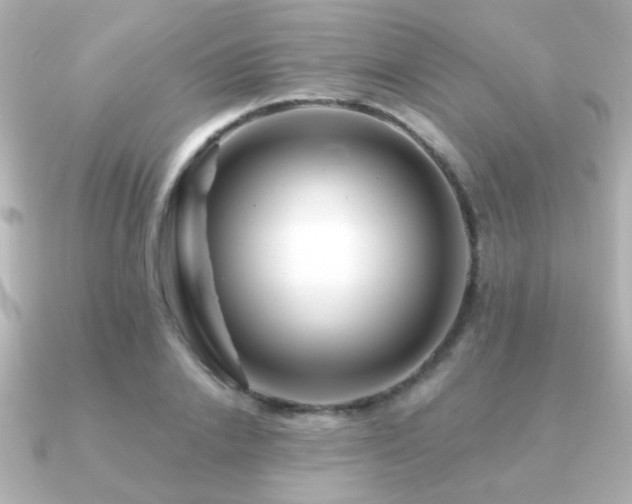 X0000091170838200708091203