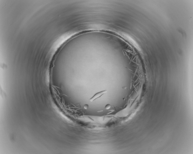 X0000091170839200708091203