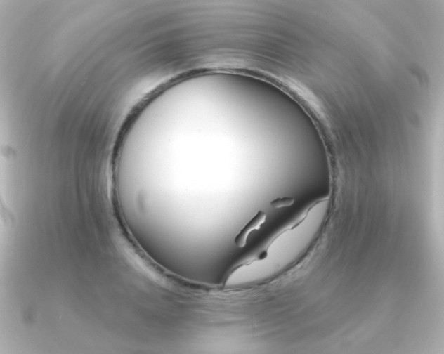 X0000091170840200708091203