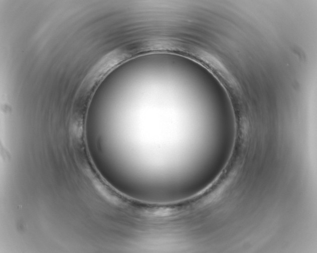 X0000091170841200708091203