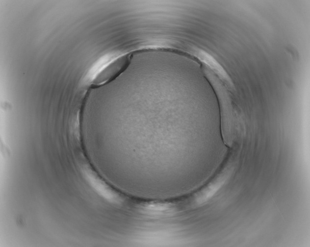 X0000091170842200708091203
