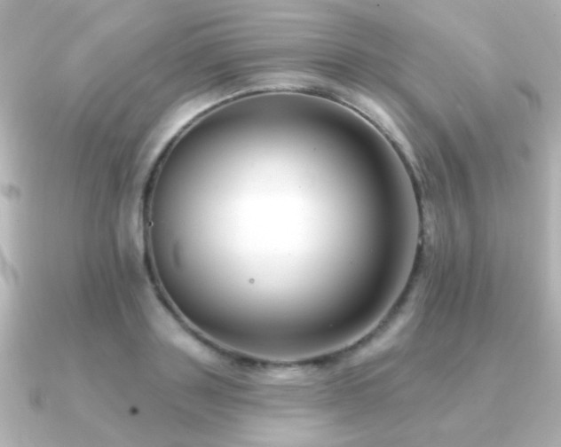 X0000091170843200708091203
