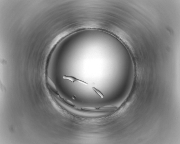 X0000091170845200708091203