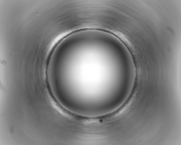 X0000091170846200708091203