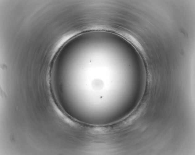 X0000091170847200708091203