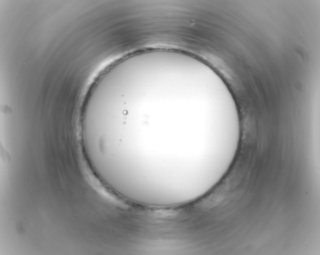 X0000091170848200708091203