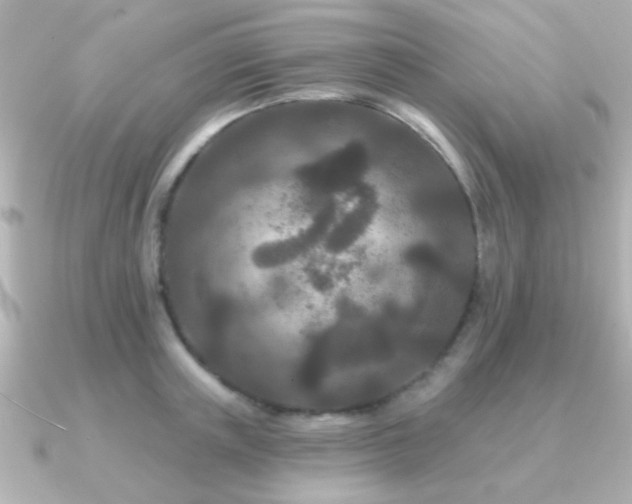 X0000091170851200708091203