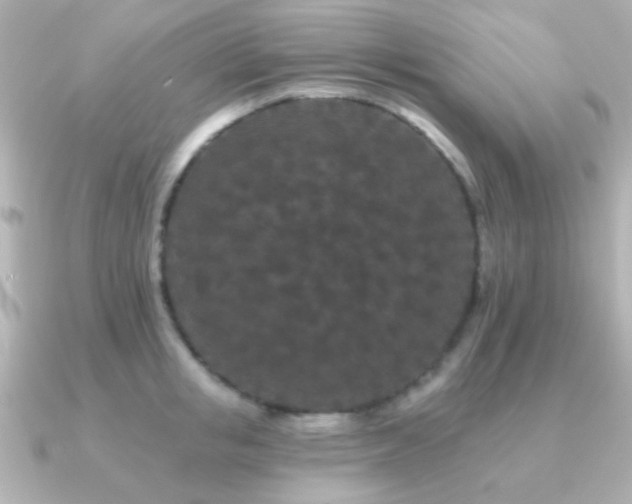 X0000091170853200708091203