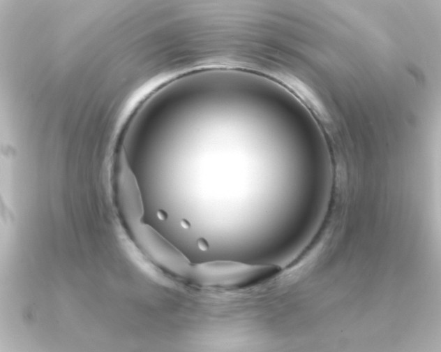 X0000091170854200708091203