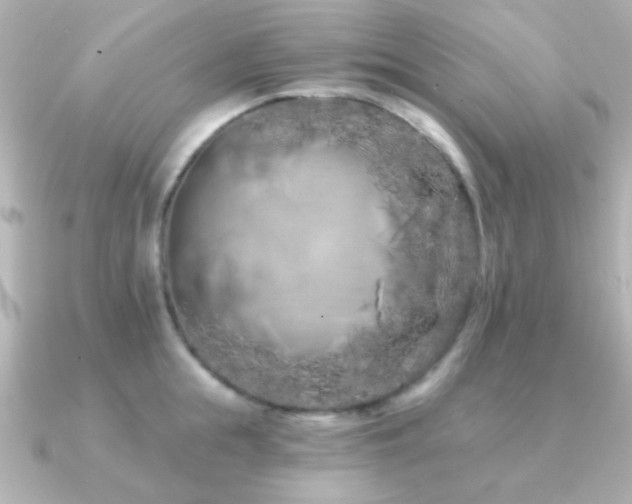 X0000091170855200708091203