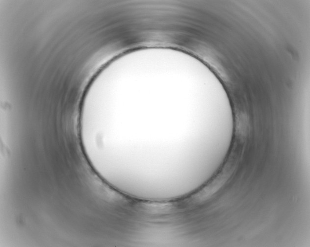 X0000091170856200708091203