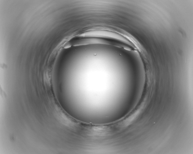 X0000091170857200708091203