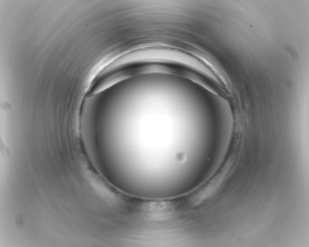 X0000091170858200708091203