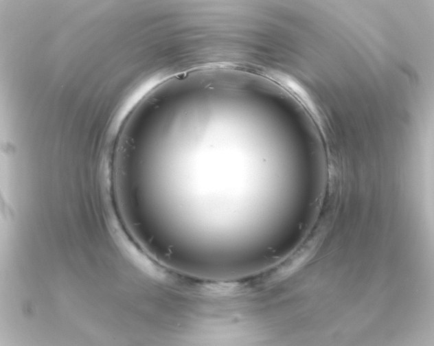 X0000091170859200708091203