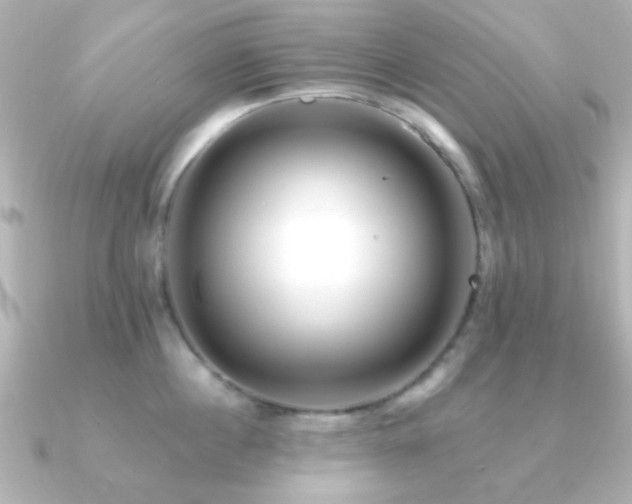 X0000091170860200708091203