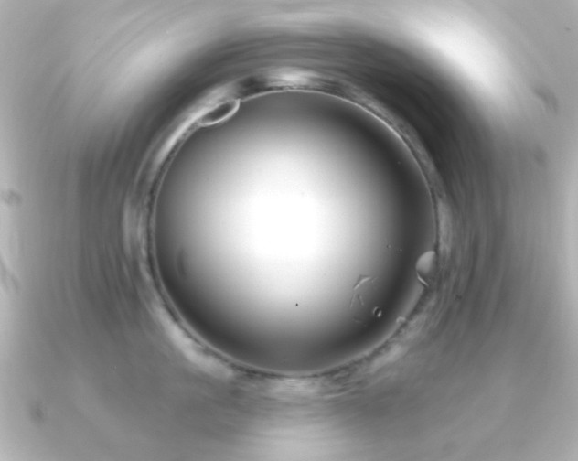 X0000091170861200708091203