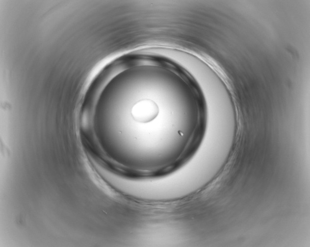 X0000091170862200708091203