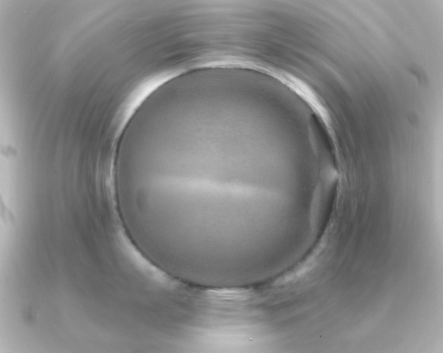 X0000091170863200708091203