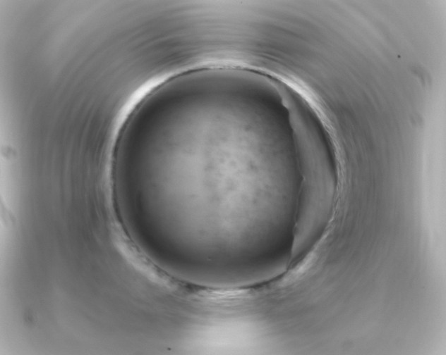 X0000091170864200708091203