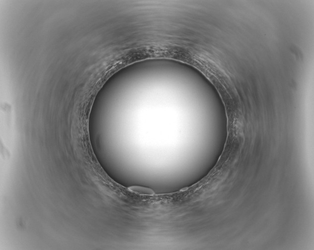 X0000091170865200708091202