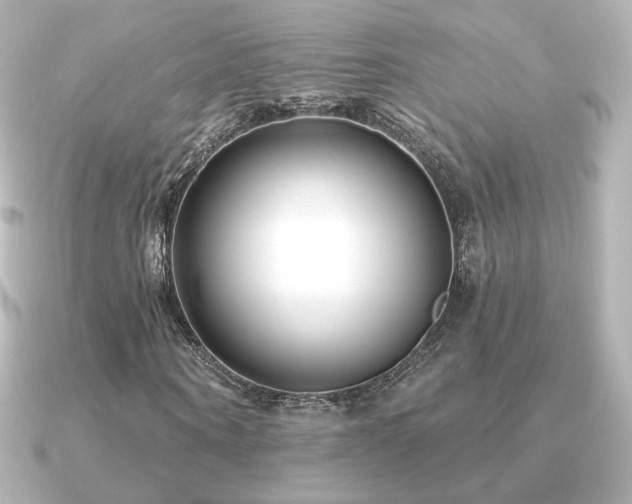 X0000091170866200708091202