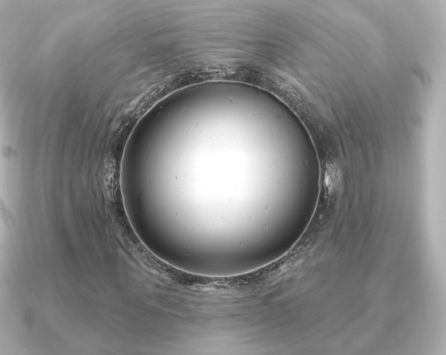 X0000091170867200708091202