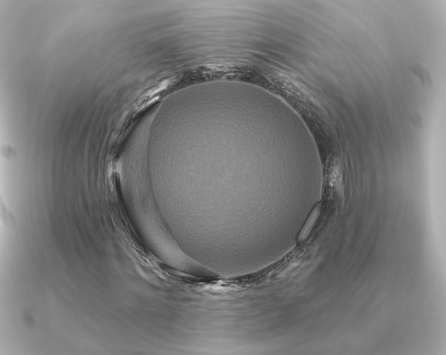 X0000091170868200708091202