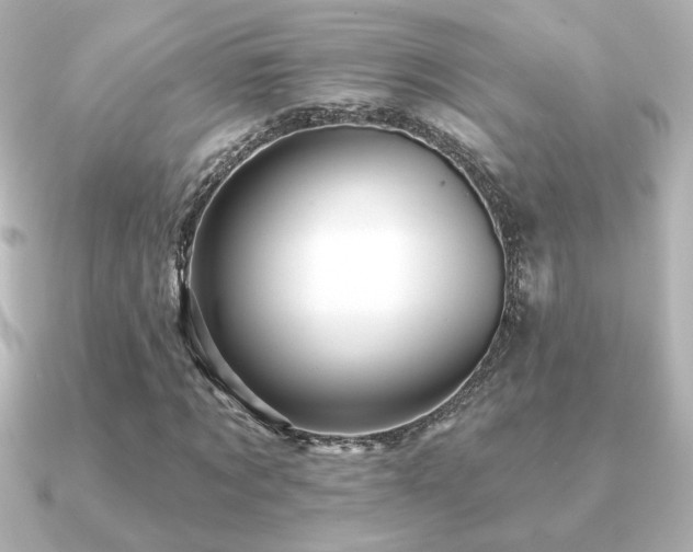 X0000091170869200708091202