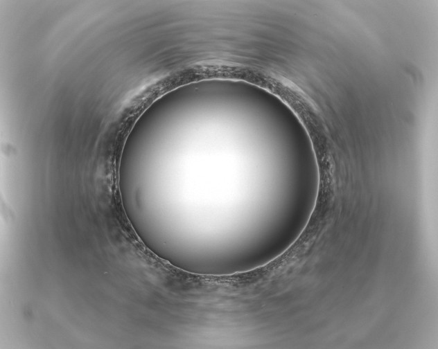 X0000091170870200708091202