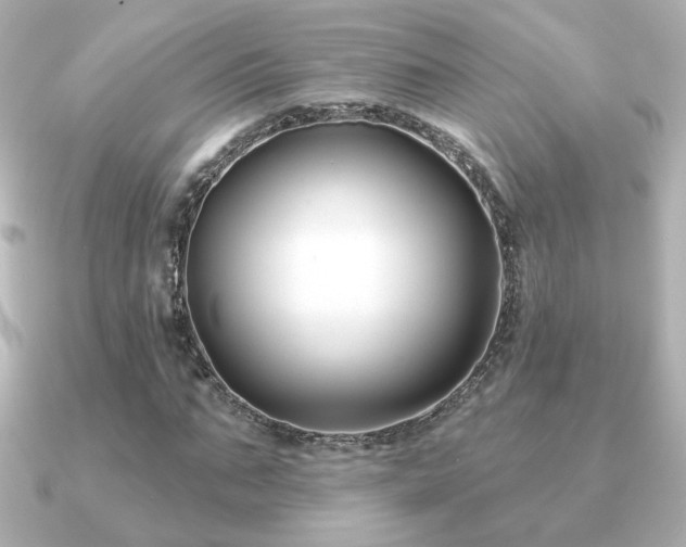 X0000091170871200708091202