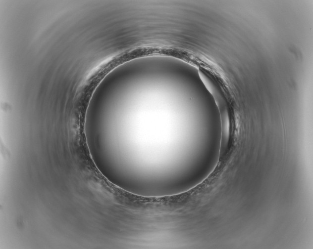 X0000091170872200708091202