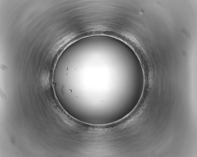 X0000091170873200708091202