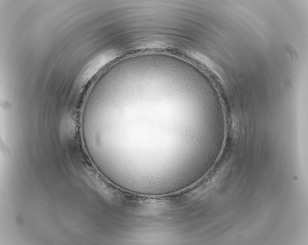 X0000091170874200708091202