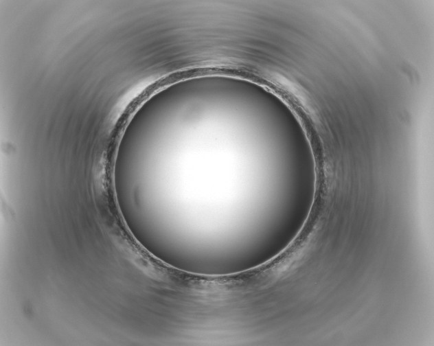 X0000091170875200708091202