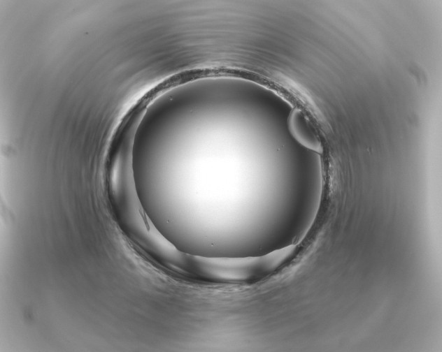 X0000091170876200708091202