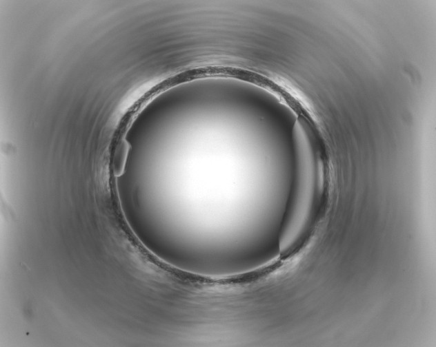 X0000091170877200708091202