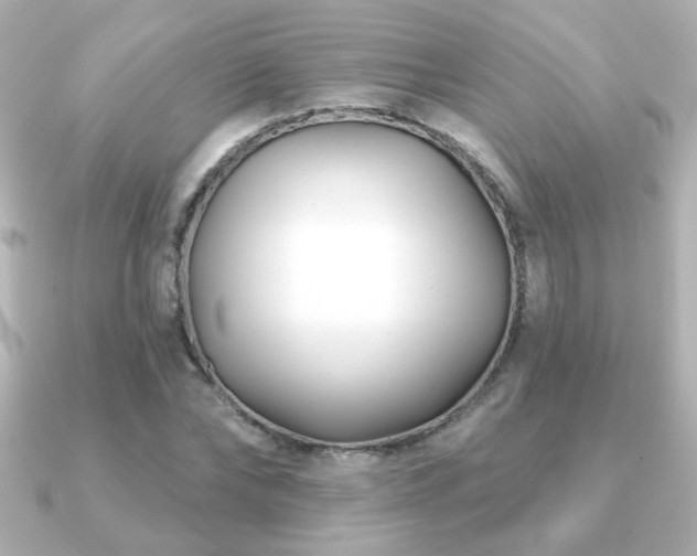 X0000091170878200708091202