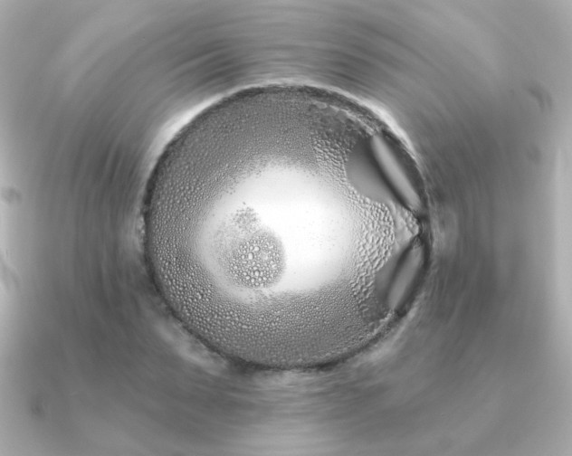 X0000091170879200708091202