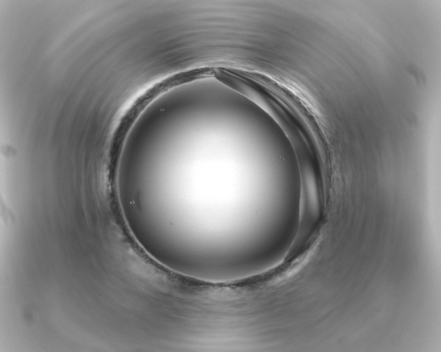 X0000091170880200708091202