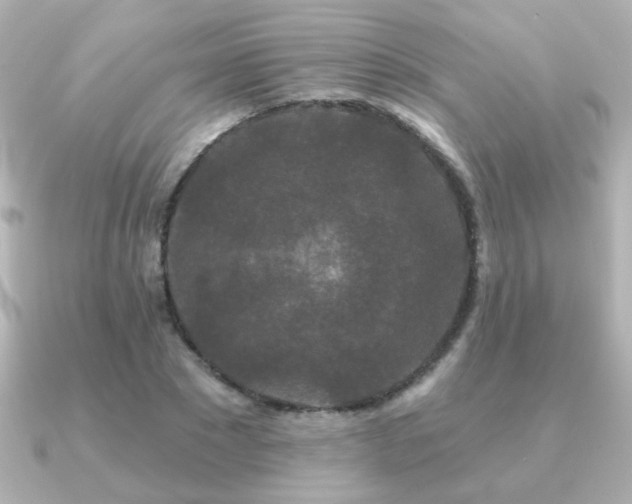 X0000091170881200708091202