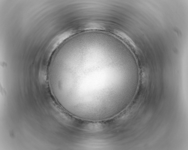 X0000091170882200708091202