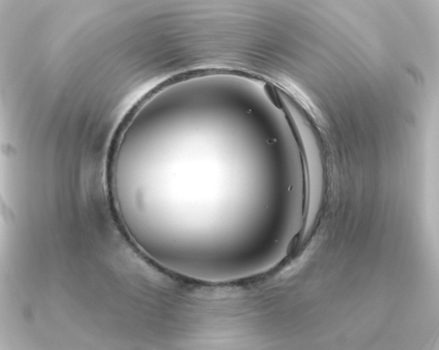 X0000091170884200708091202
