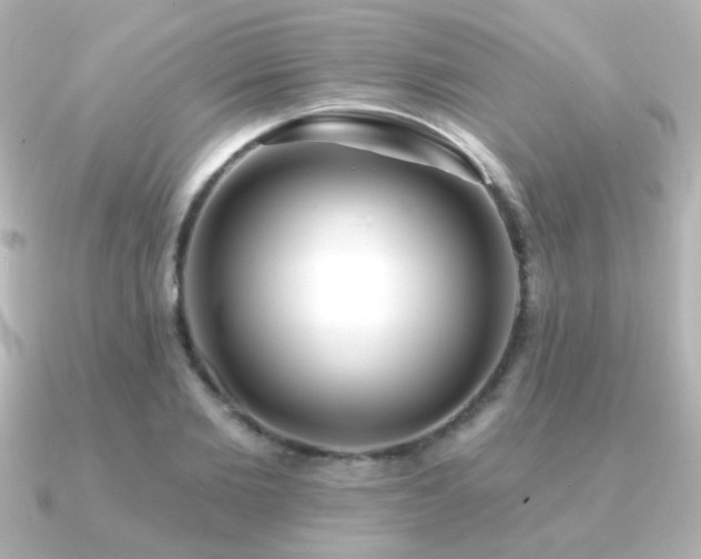 X0000091170885200708091202