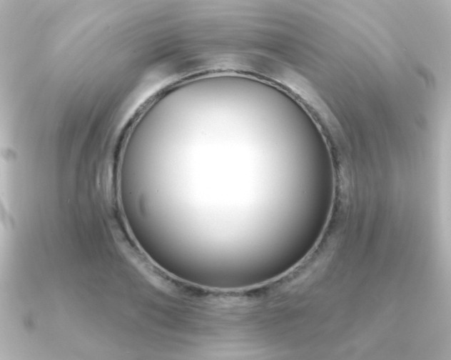 X0000091170886200708091202