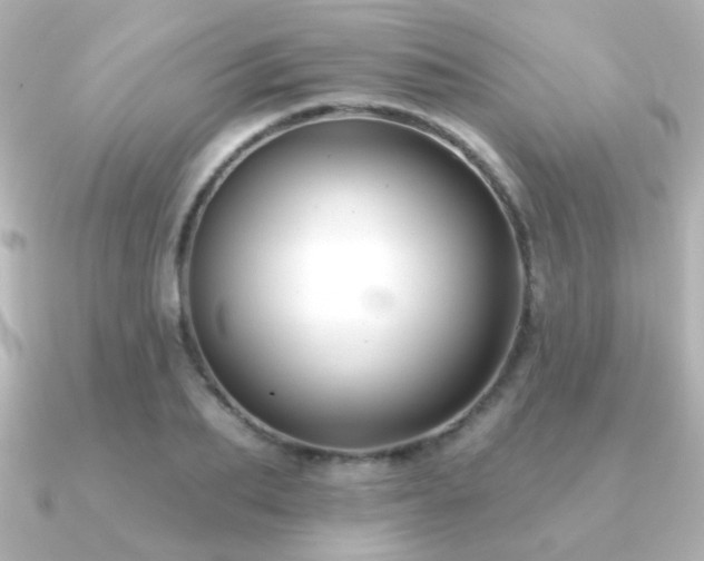 X0000091170887200708091202
