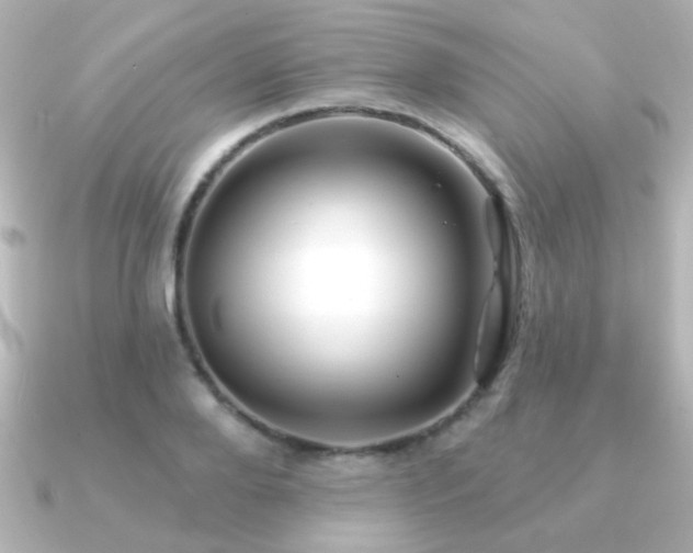 X0000091170888200708091202