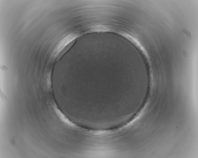 X0000091170889200708091202