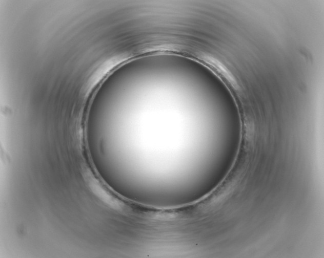 X0000091170890200708091202